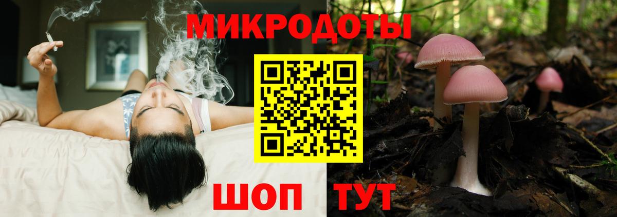 Галлюциногенные грибы Psilocybine cubensis  Псилоцибиновые грибы MAGIC MUSHROOMS  Борзя  Вход с VPN 